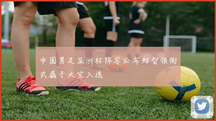 中国男足亚洲杯阵容公布郑智领衔武磊于大宝入选