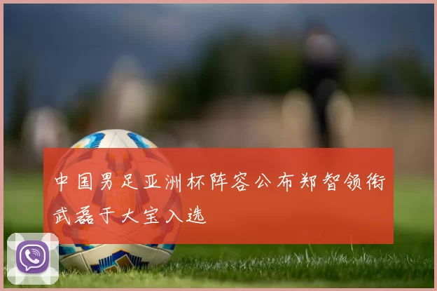 中国男足亚洲杯阵容公布郑智领衔武磊于大宝入选