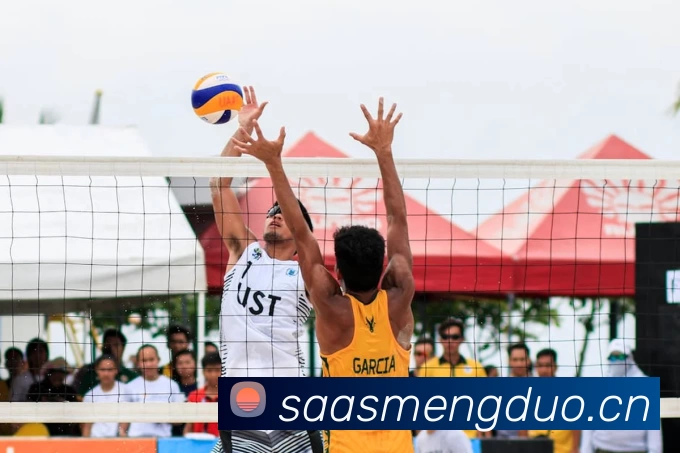 b体育·(sports)官方网站APP 封面图